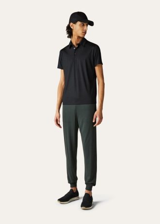 Darul Regilor (Polo)